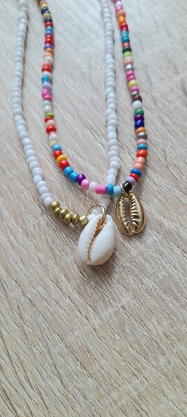 Kaklarotu komplekts- gliemežvāki #2/65